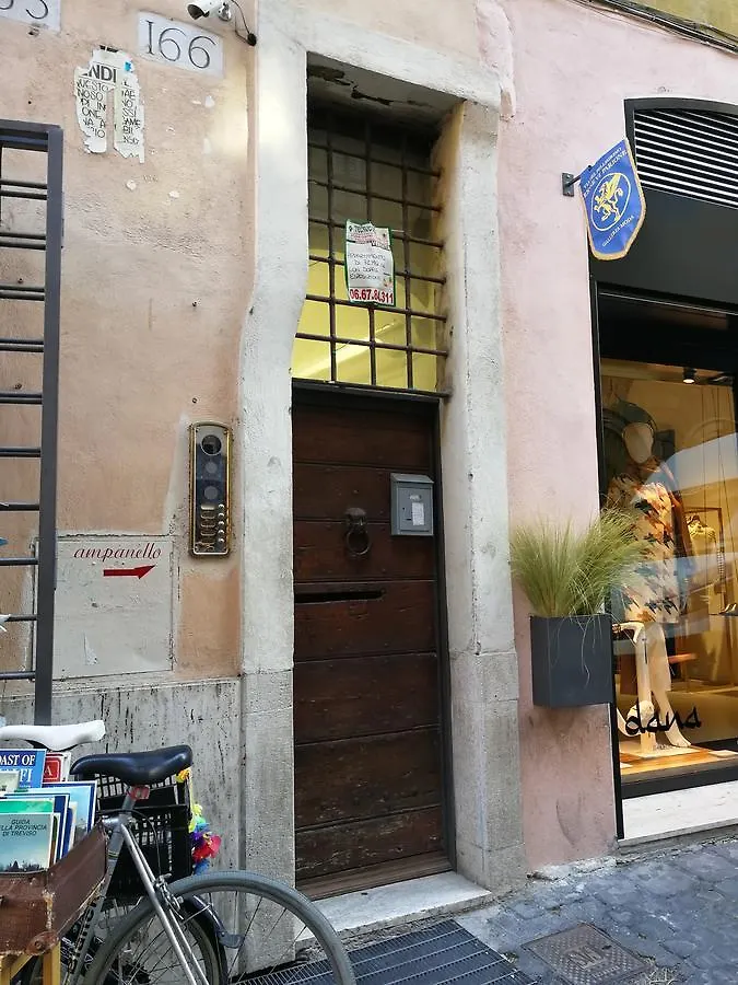 Domus Pellegrino 166 Hotel Rome Italy